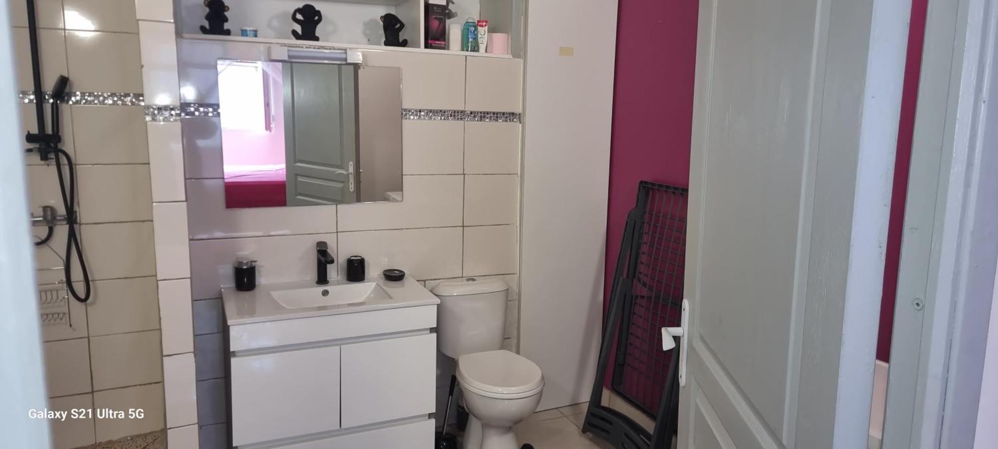 Chez Coco Appartement Balisier Riviere-Salee Екстер'єр фото